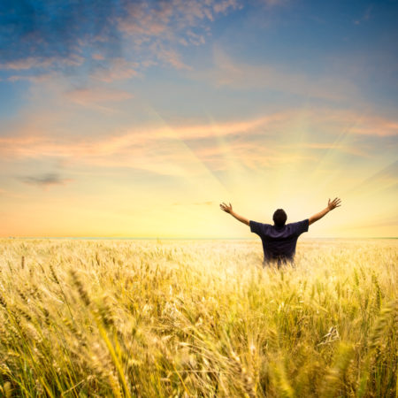 Man in a field with his arms raised